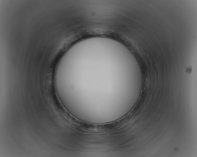 X0000093560739200710150956