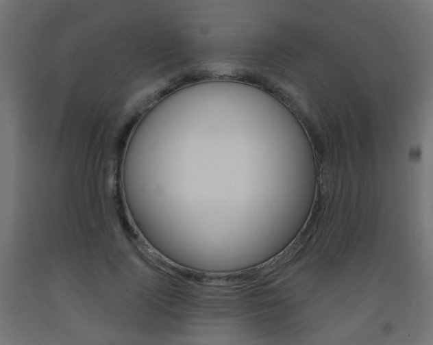 X0000093560740200710150956