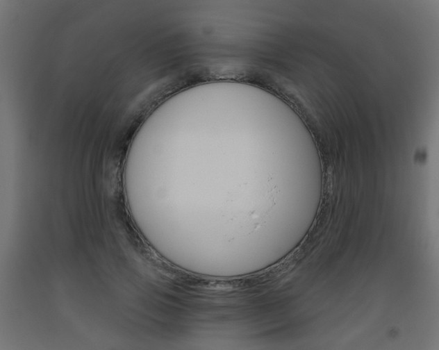 X0000093560741200710150956
