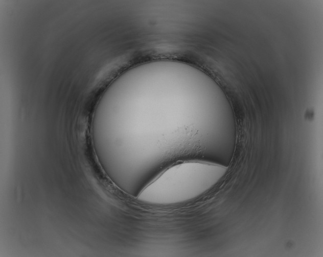 X0000093560742200710150956