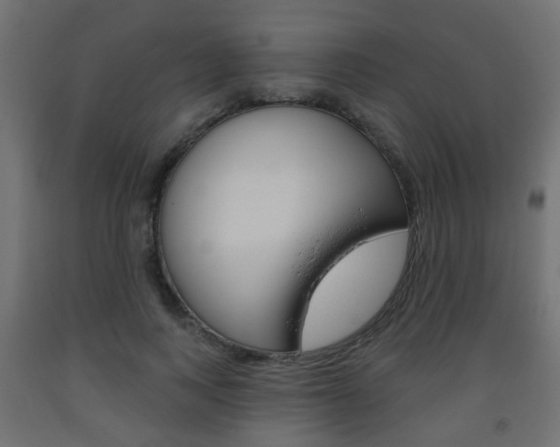 X0000093560743200710150956