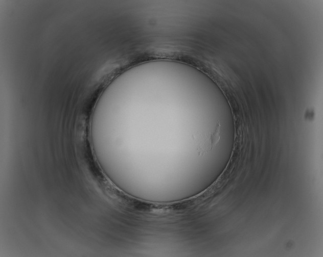 X0000093560744200710150956