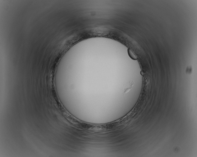 X0000093560745200710150956