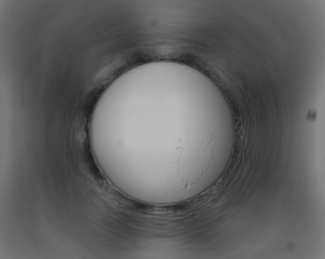 X0000093560746200710150956