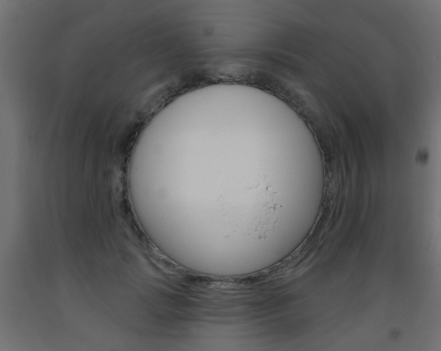 X0000093560749200710150956