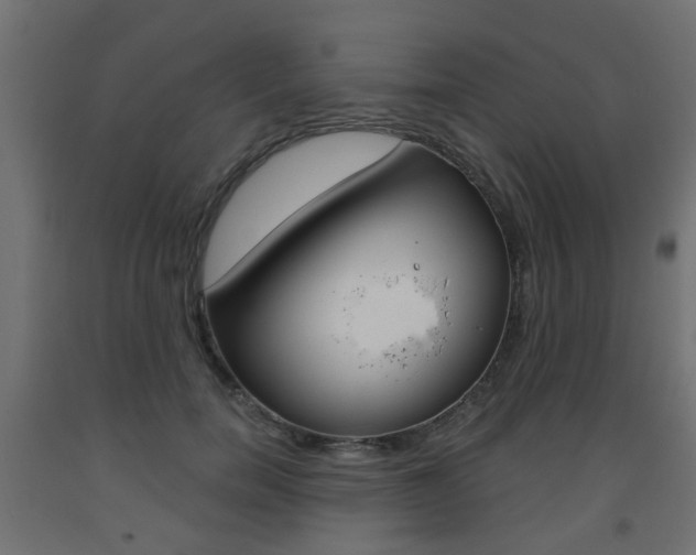 X0000093560750200710150956