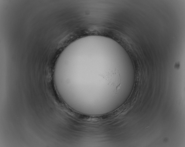 X0000093560751200710150956