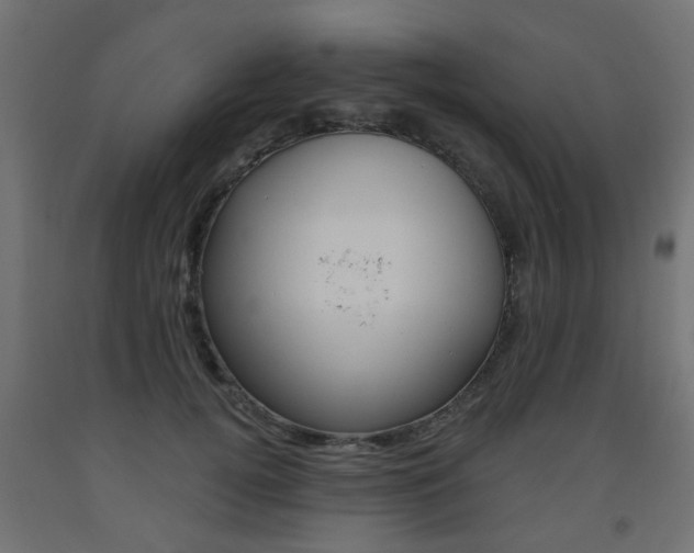 X0000093560752200710150956