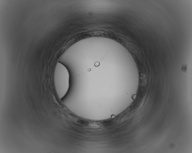 X0000093560753200710150956