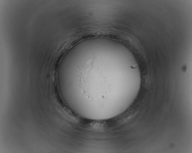 X0000093560756200710150956