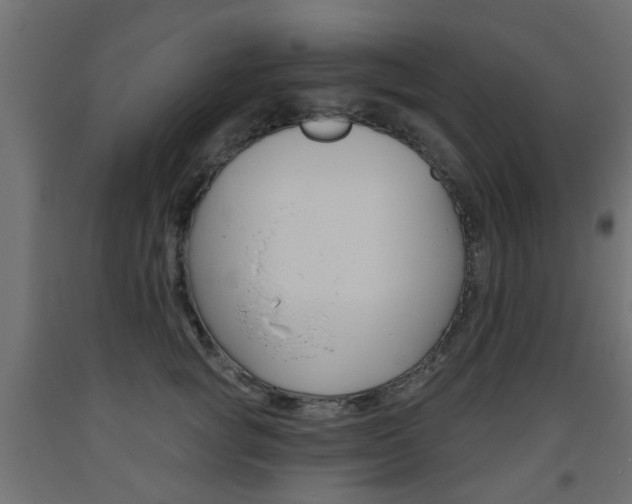 X0000093560757200710150956