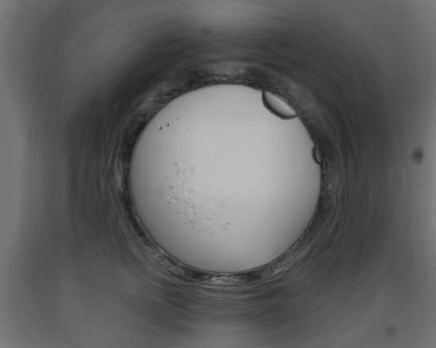 X0000093560758200710150956
