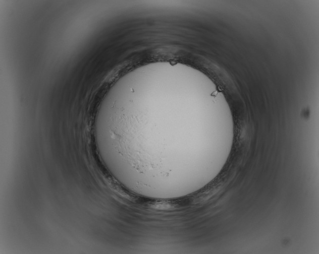 X0000093560759200710150956