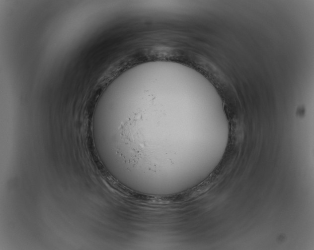 X0000093560760200710150956