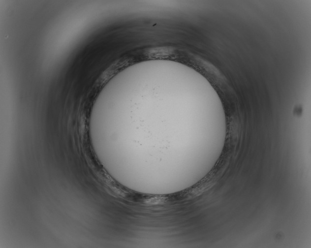 X0000093560761200710150956