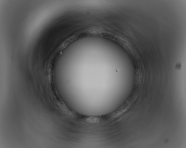 X0000093560762200710150956
