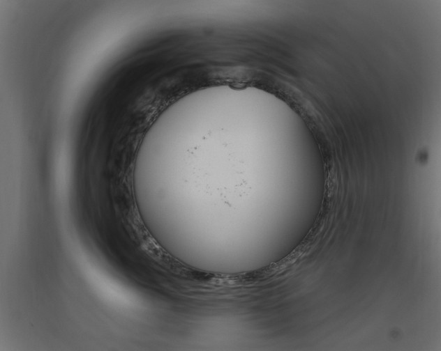 X0000093560764200710150956