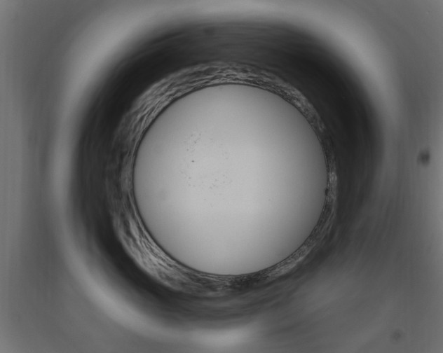 X0000093560765200710150956