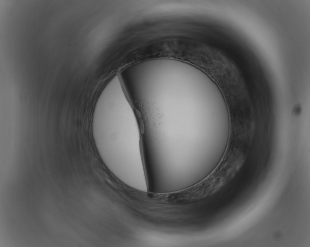 X0000093560766200710150956
