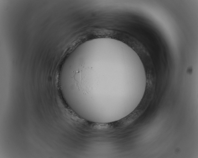 X0000093560767200710150956