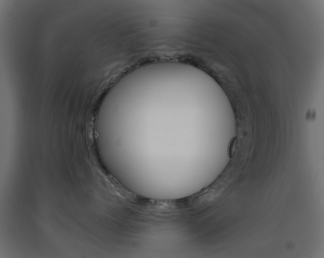 X0000093560768200710150956