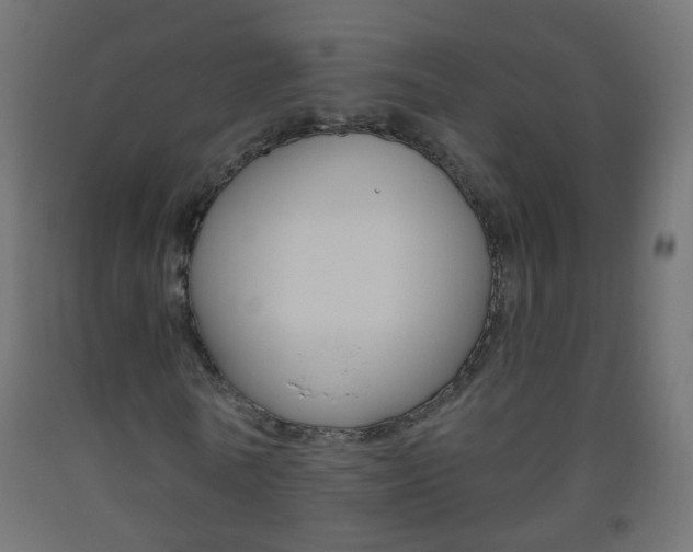 X0000093560770200710150956