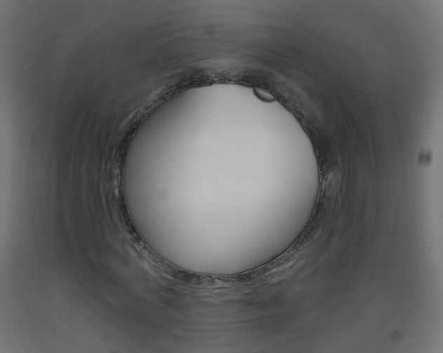 X0000093560772200710150956