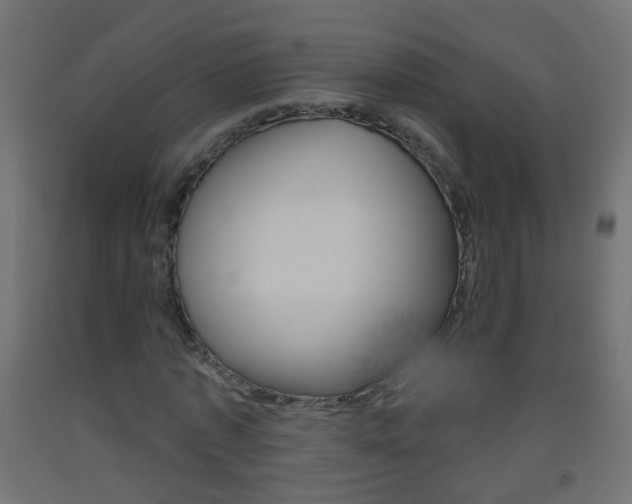 X0000093560773200710150956