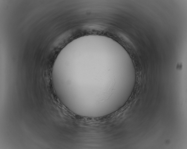 X0000093560774200710150956