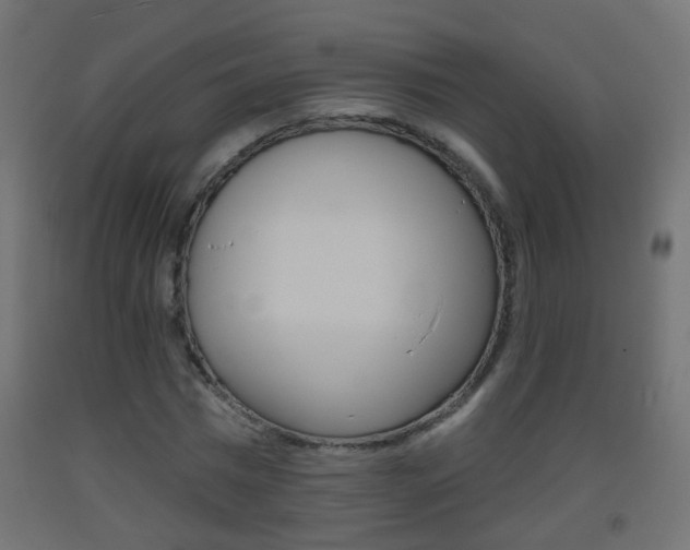 X0000093560777200710150956