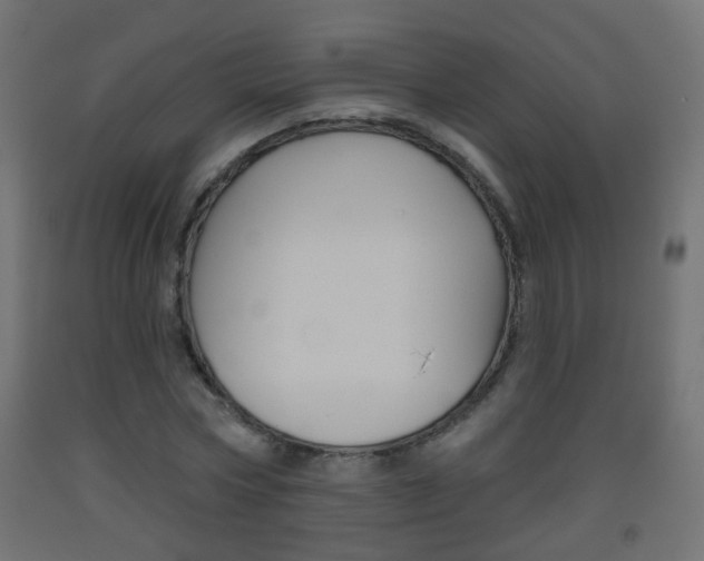 X0000093560778200710150956