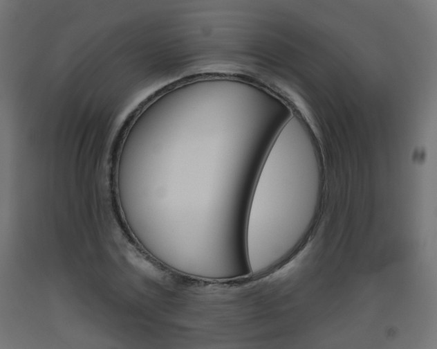 X0000093560779200710150956