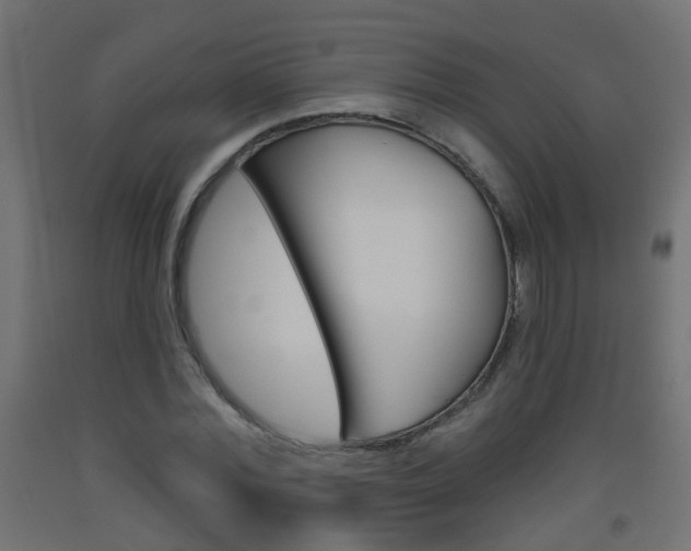 X0000093560780200710150955