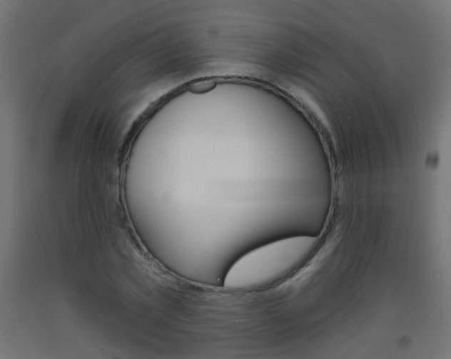 X0000093560781200710150955