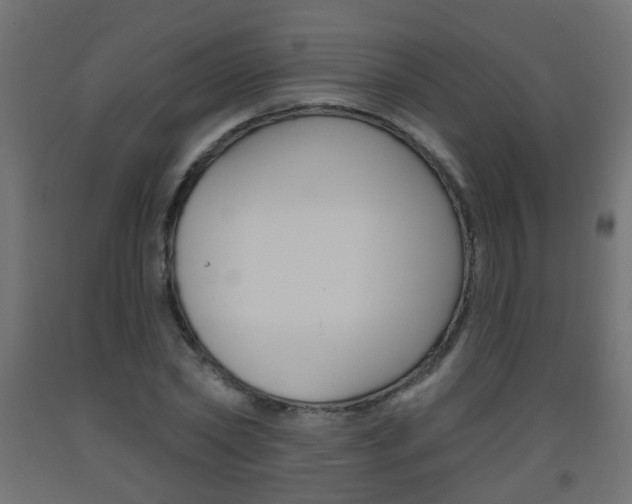 X0000093560782200710150955
