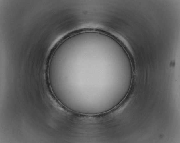 X0000093560783200710150955