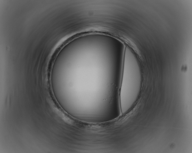 X0000093560784200710150955