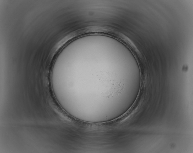 X0000093560786200710150955