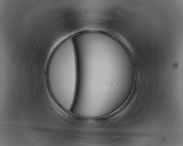 X0000093560787200710150955