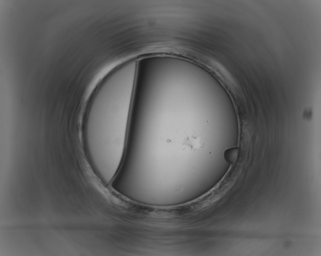X0000093560788200710150955