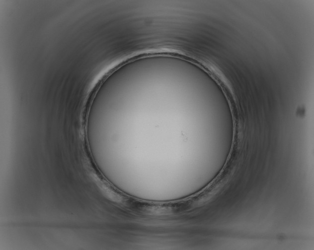 X0000093560789200710150955