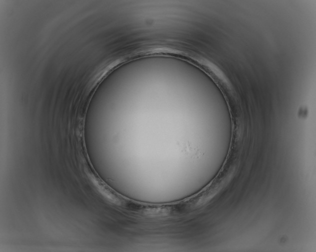 X0000093560793200710150955