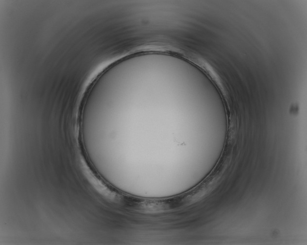 X0000093560795200710150955