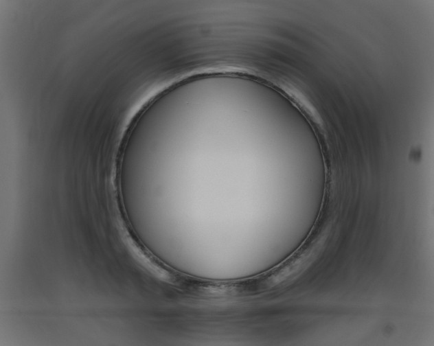 X0000093560797200710150955