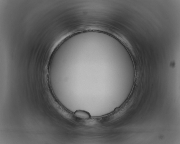 X0000093560798200710150955