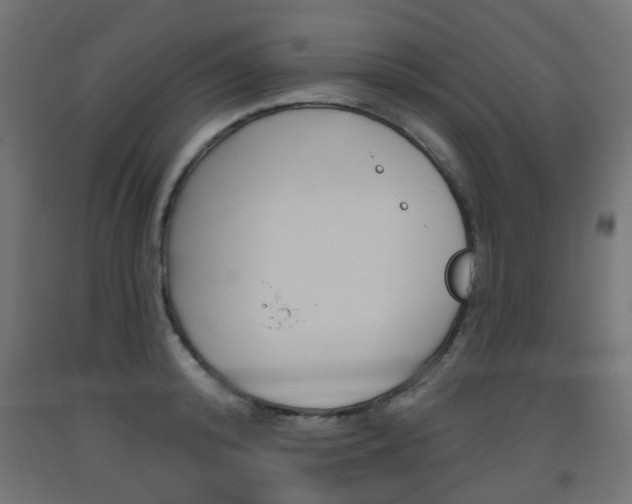 X0000093560800200710150955