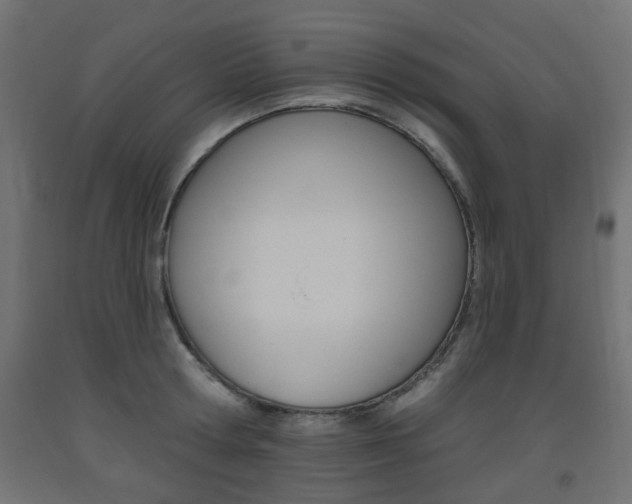X0000093560802200710150955