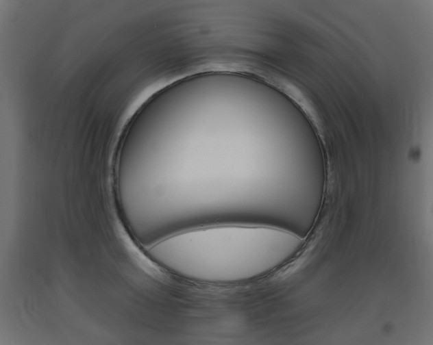 X0000093560803200710150955