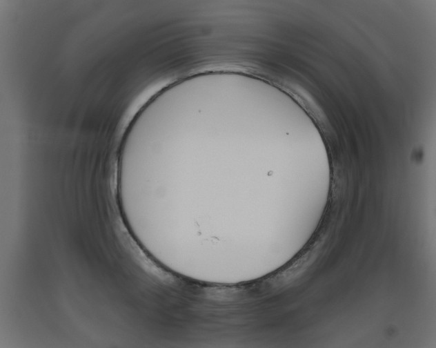 X0000093560804200710150955