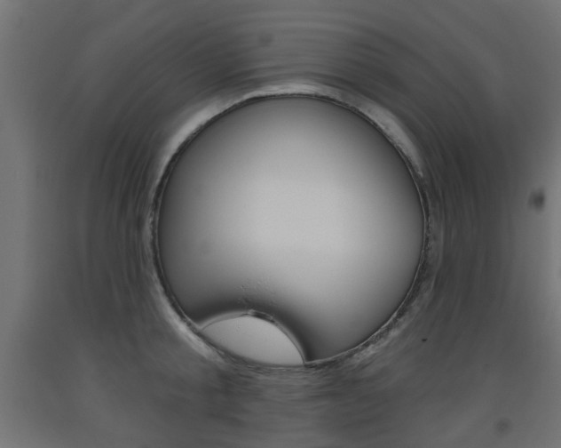 X0000093560805200710150955